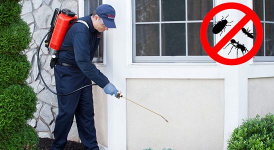 Süloğlu Dezenfeksiyon böcek ilaçlama ve haşere kontrolü — ilaclama-tr.com